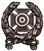 Expert Badge